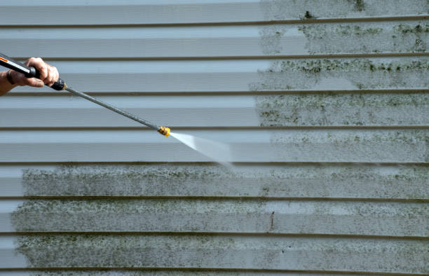 Best Solar Panel Cleaning  in Union Springs, AL